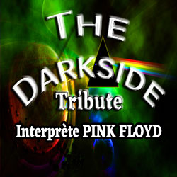 logo the darkside