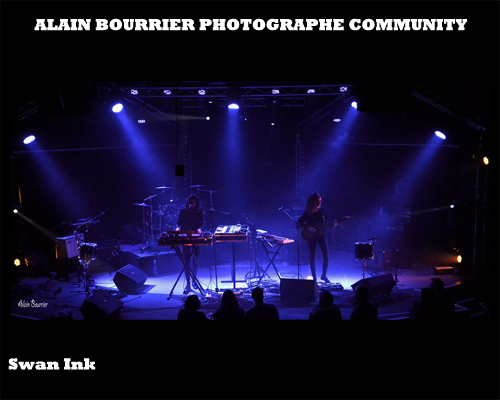 Photo Swan Ink